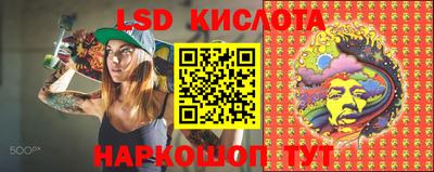 гидра Рыбинск