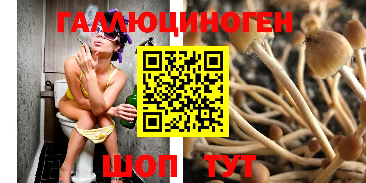Галлюциногенные грибы ЛСД Новоуральск